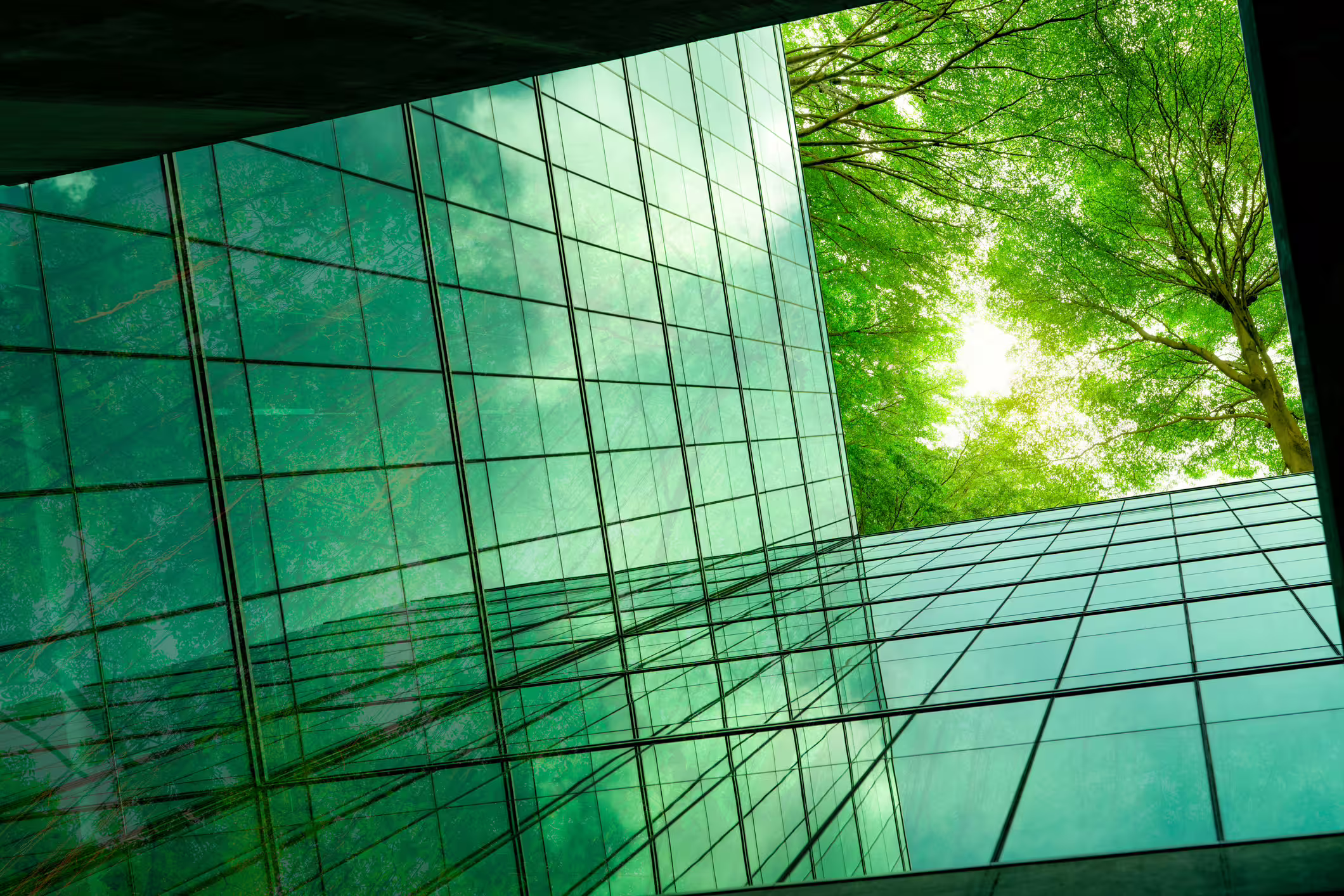 Sustainable Finance Initiative to help unleash capital for decarbonization