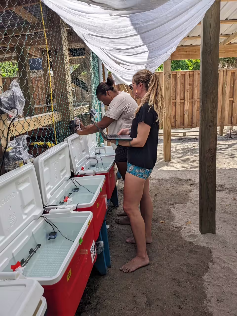 Klepac (foreground) and Craig (background) document the results of a coral bleaching test on Turneffe Atoll, Belize in April 2024. (Image credit: DeVant'e Dawson)