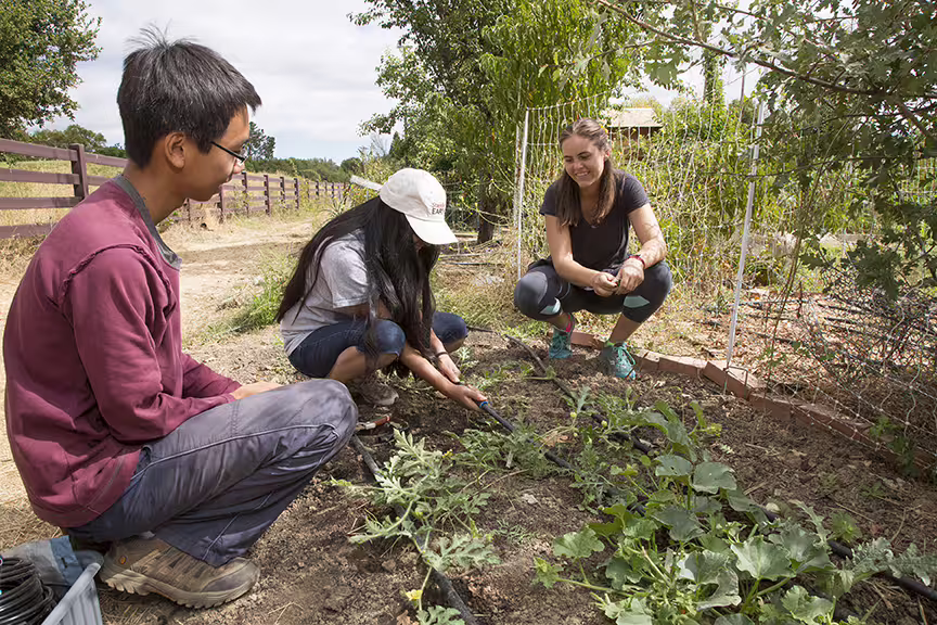 Visit our educational farm