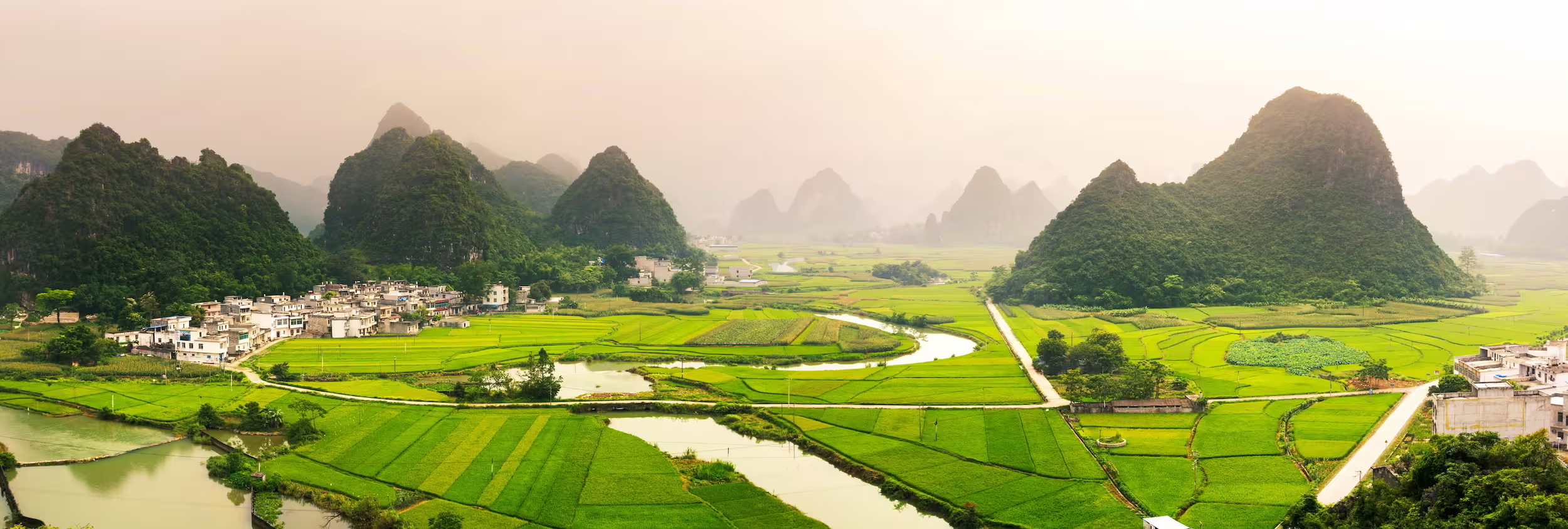 Rice fields with karst formations in Guangxi, China