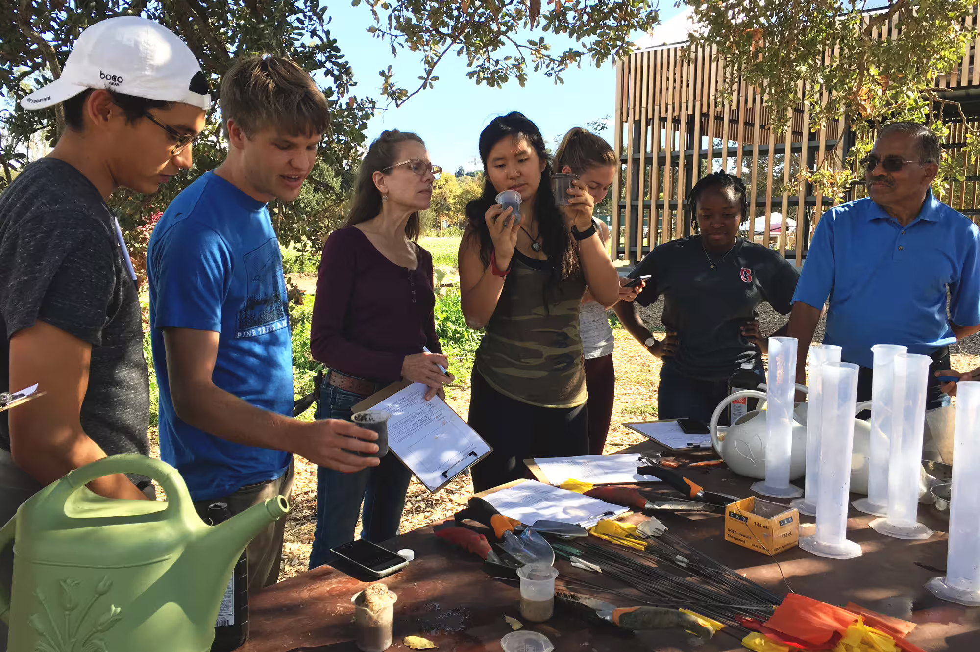 Undergraduate research